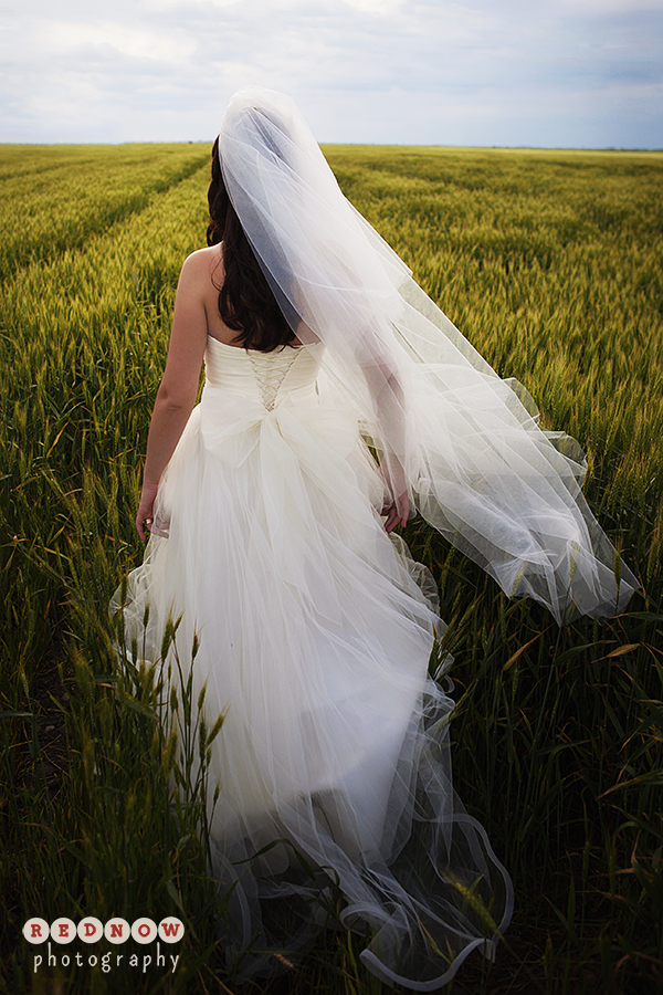 Fotograf-profesionist-nunta-trash-the-dress-arad-ttd-rednow-wedding-photography-01